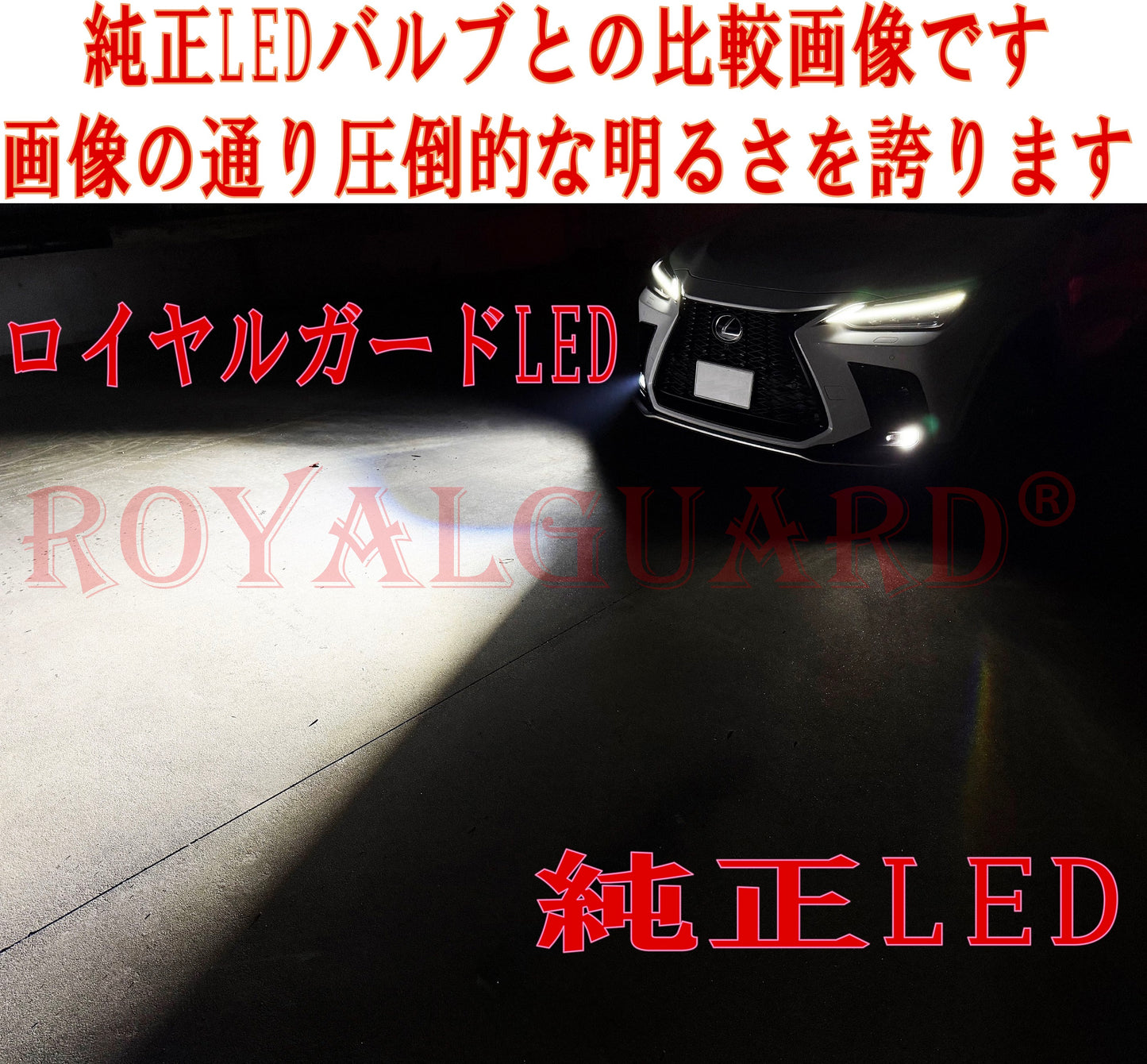 L1b LEDバルブ 純正LEDフォグ交換キット ホワイト 6000k ロイヤルガード零