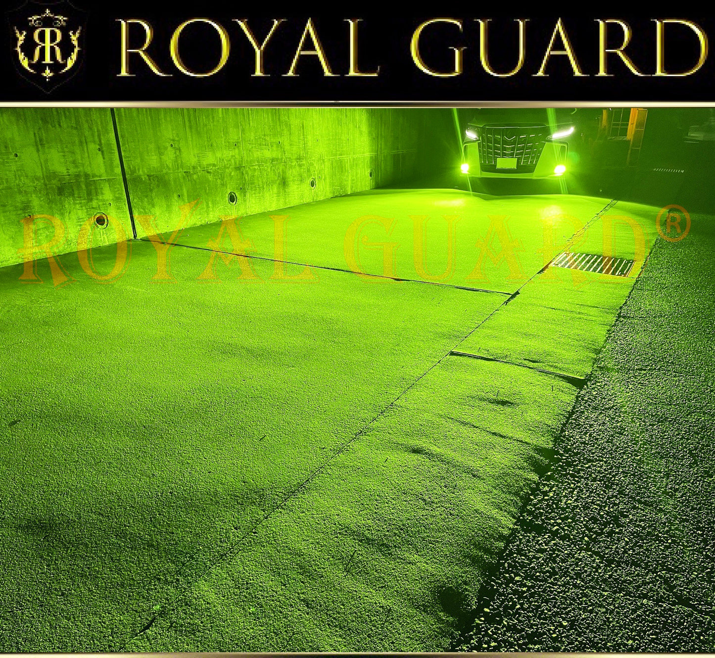 2026ロイヤルガードオメガ ライムイエロー LEDフォグ H8 H11 H16