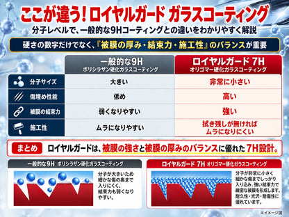 ブラックキング タイプR セラミック硬化ガラスコーティング剤 業務用完全硬化型 日本製 超撥水 艶 防汚 車用　5年耐久　20ml　