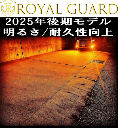 2025年後期モデル HB4 アンバー