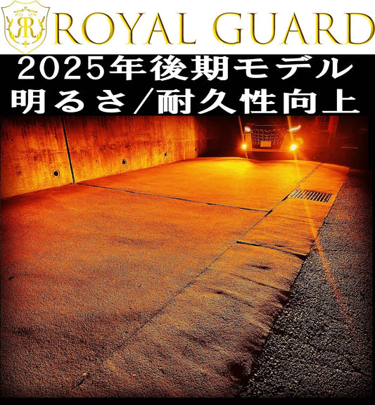 2025年後期モデル HB4 アンバー