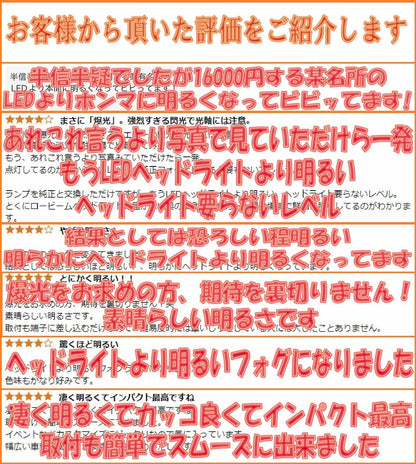 L1b LEDバルブ 純正LEDフォグ交換キット イエロー 3000ｋ ロイヤルガード Ω