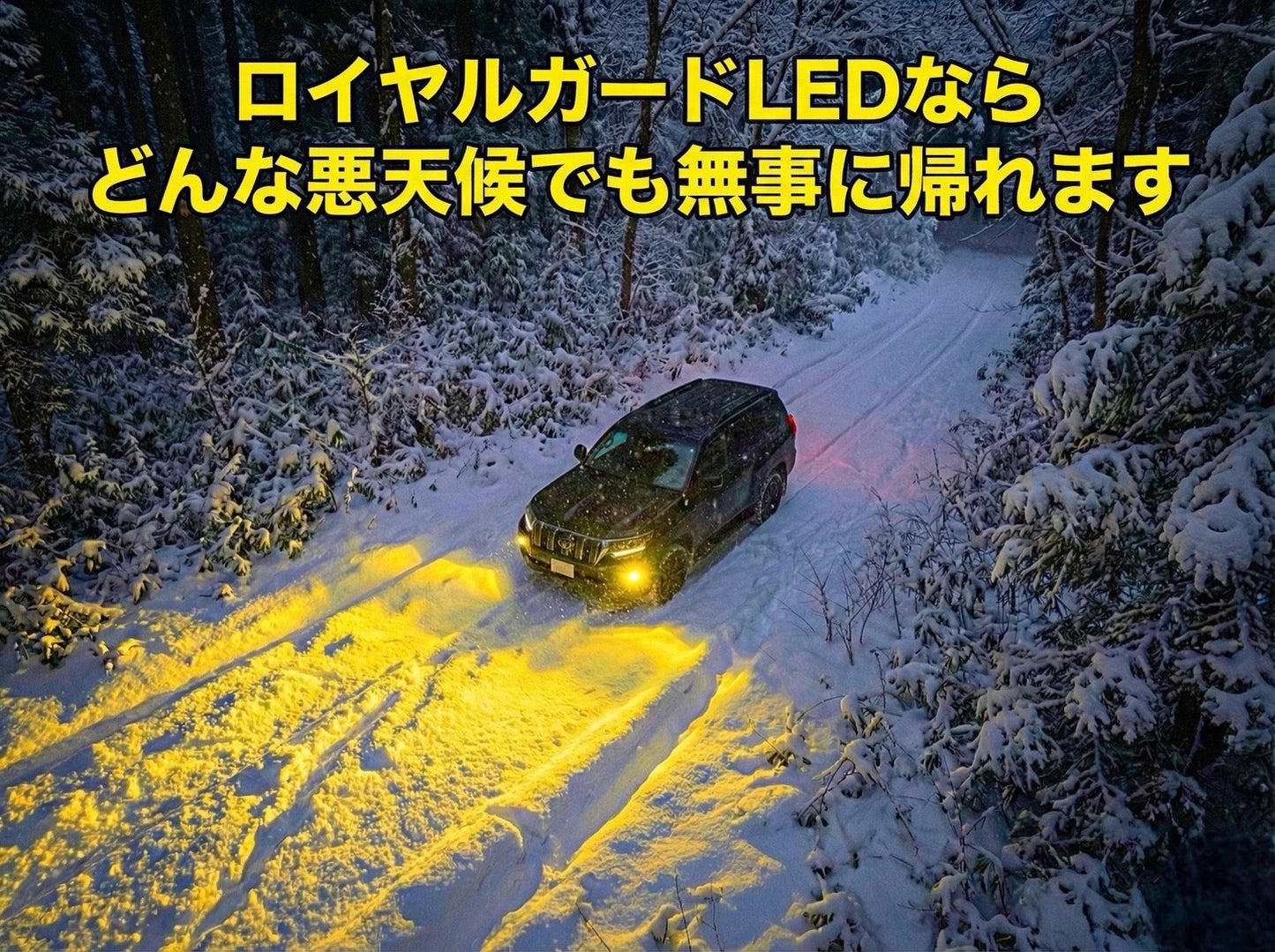 LED H11 H16 H8 イエロー フォグ 正規品 ロイヤルガードオメガ